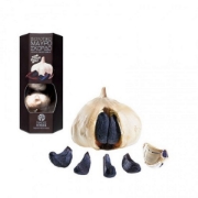 Organic Black Garlic 2 bulbs Genuine Tastes 100g